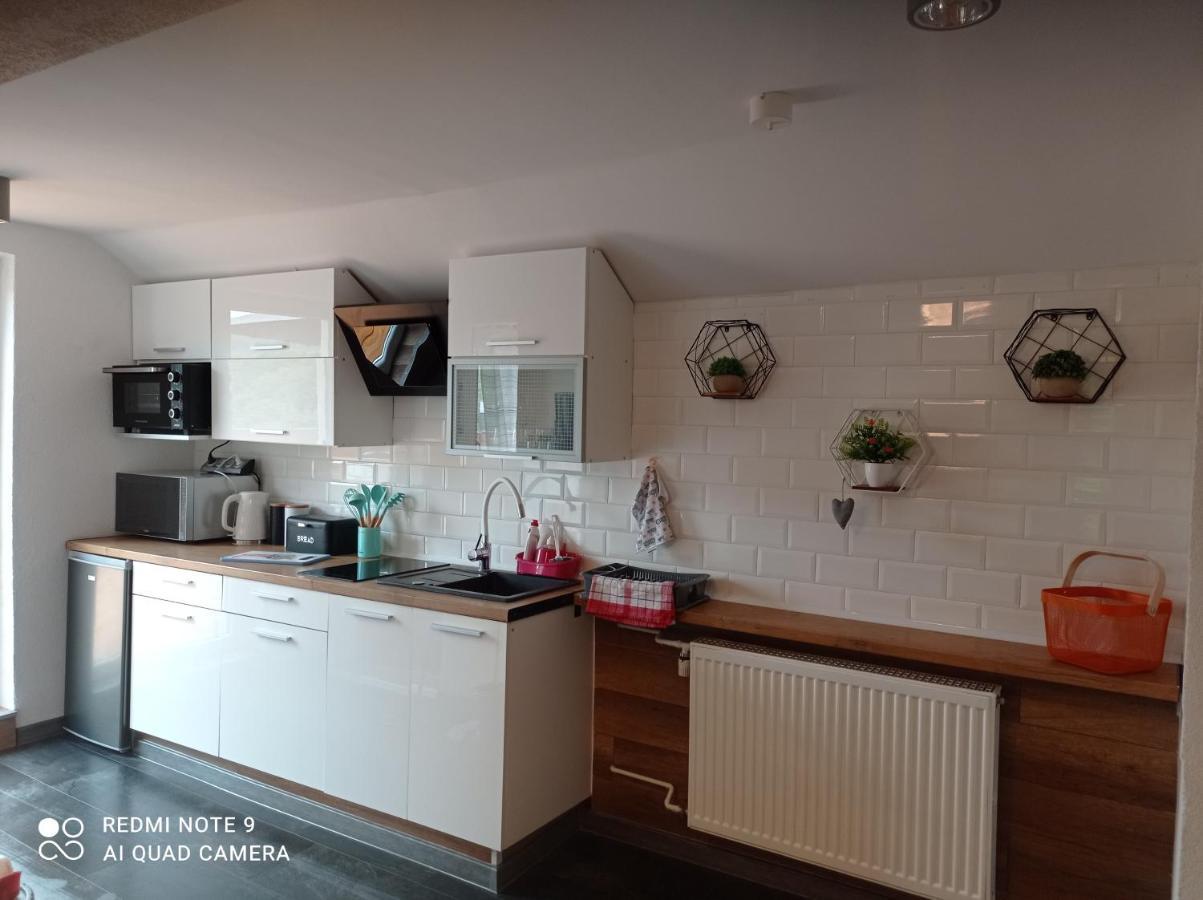 Apartamenty Sowianka Любковіце Клодзьке Екстер'єр фото